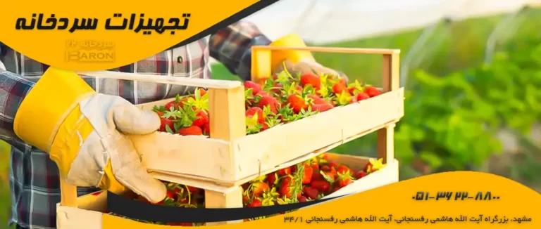 هزینه ساخت سردخانه 50 تنی میوه